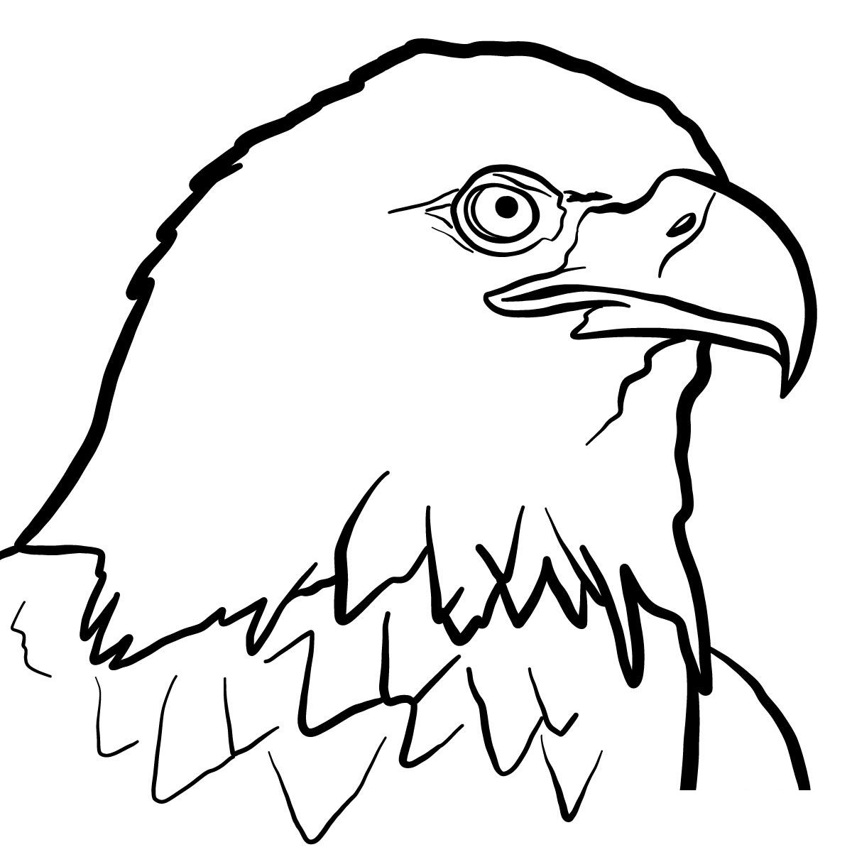 Coloriage Oiseau Aigle Royal - Oiseau à imprimer